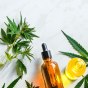 Faut-il préférer l’huile de CBD pressée à froid ou extraite au CO2 ? Comprendre les différences pour faire le bon&nbsp;choix